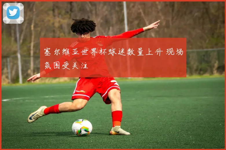 塞尔维亚世界杯球迷数量上升 现场氛围受关注
