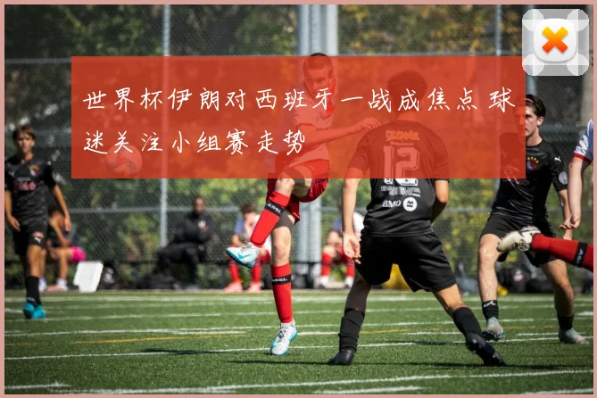 世界杯伊朗对西班牙一战成焦点 球迷关注小组赛走势