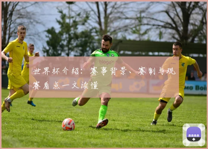 世界杯介绍：赛事背景、赛制与观赛看点一文读懂