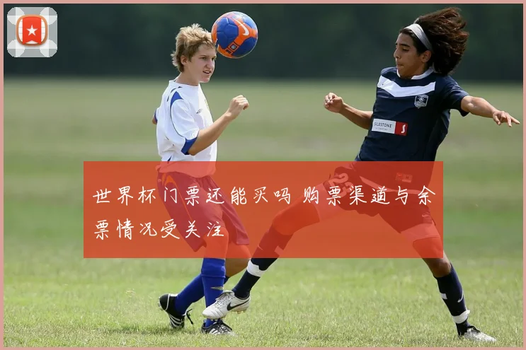 世界杯门票还能买吗 购票渠道与余票情况受关注