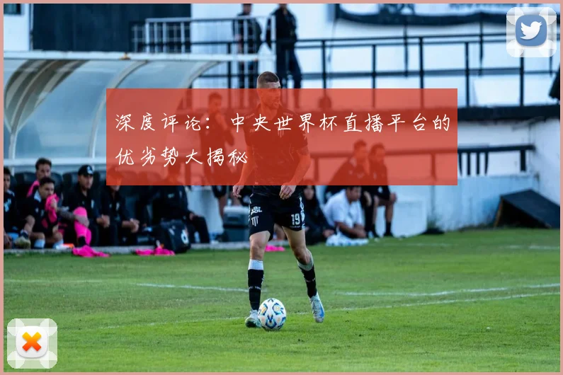 深度评论：中央世界杯直播平台的优劣势大揭秘