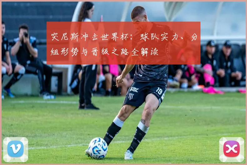 突尼斯冲击世界杯：球队实力、分组形势与晋级之路全解读